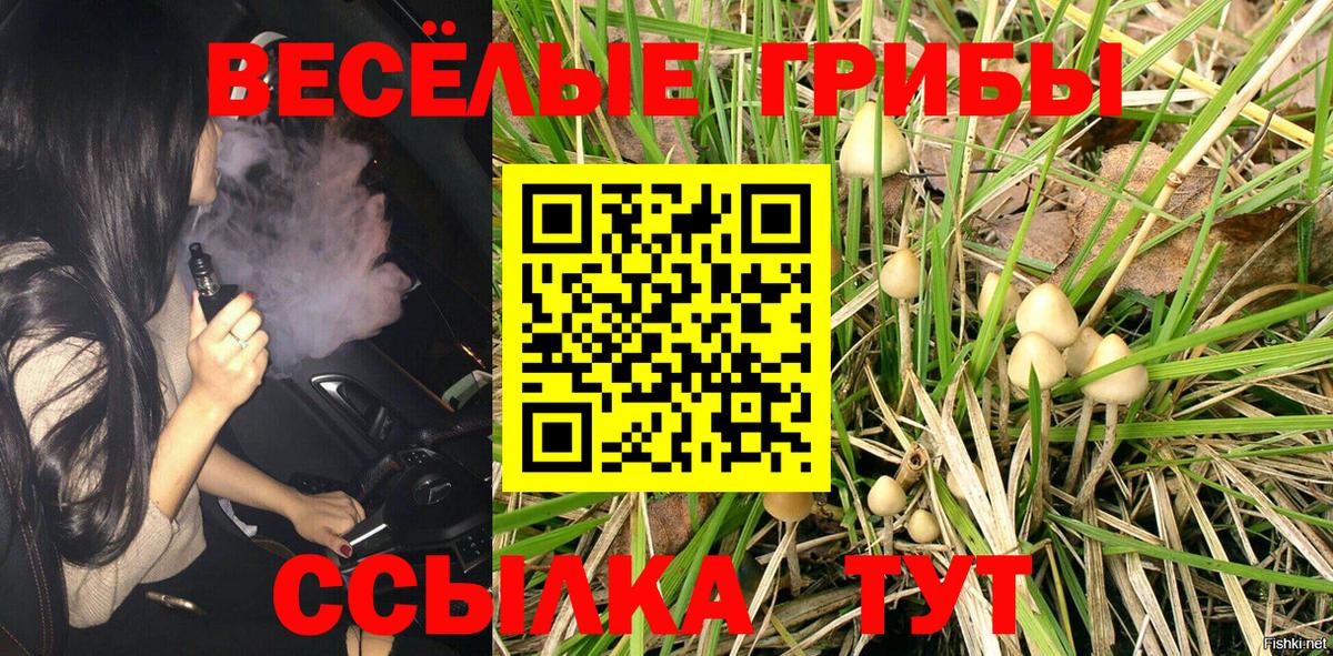 Карачаевск  Галлюциногенные грибы GOLDEN TEACHER  Вход с VPN  Галлюциногенные грибы ЛСД 